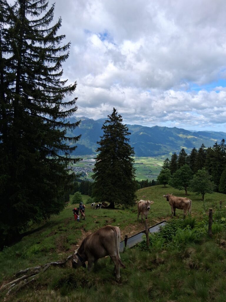 Ausflug Bogmenwanderung 2026