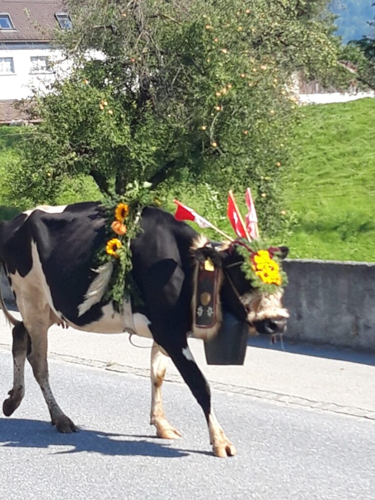 Ausflug 2020
