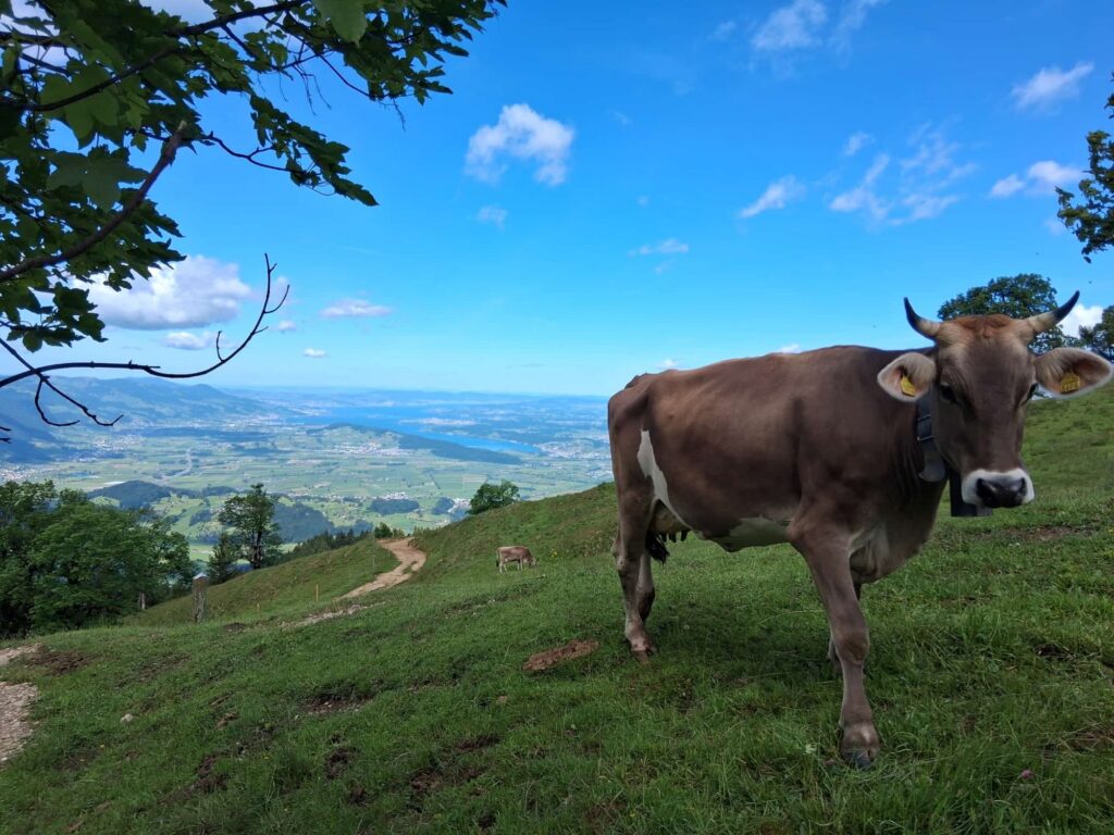 Ausflug Bogmenwanderung 2026